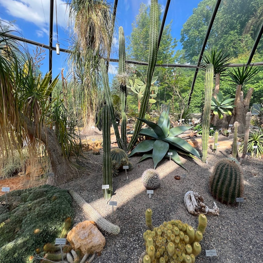 Botanical Garden 3