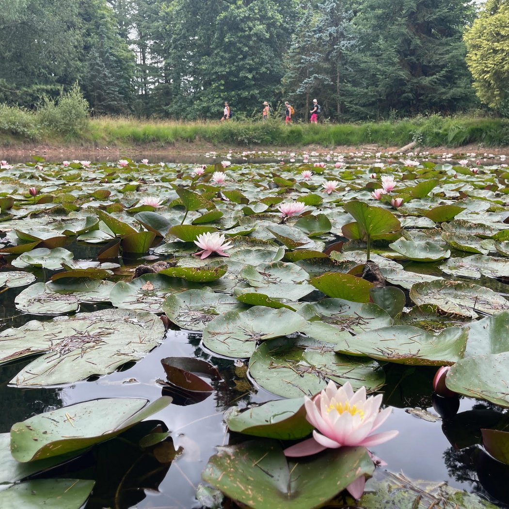 Séjours Rando & Yoga à Brocéliande 2