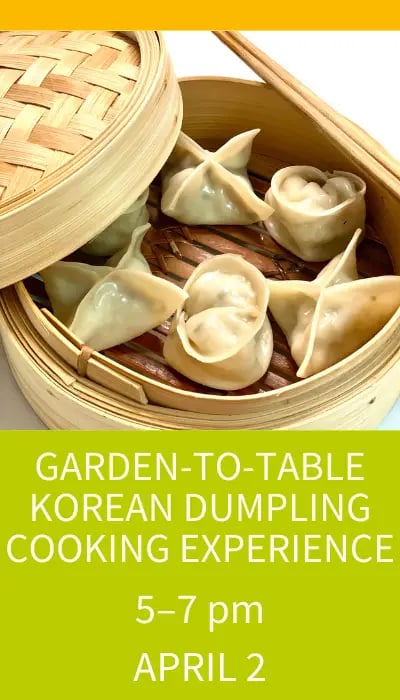 Garden-to-Table Korean Dumpling Cooking Experience 1