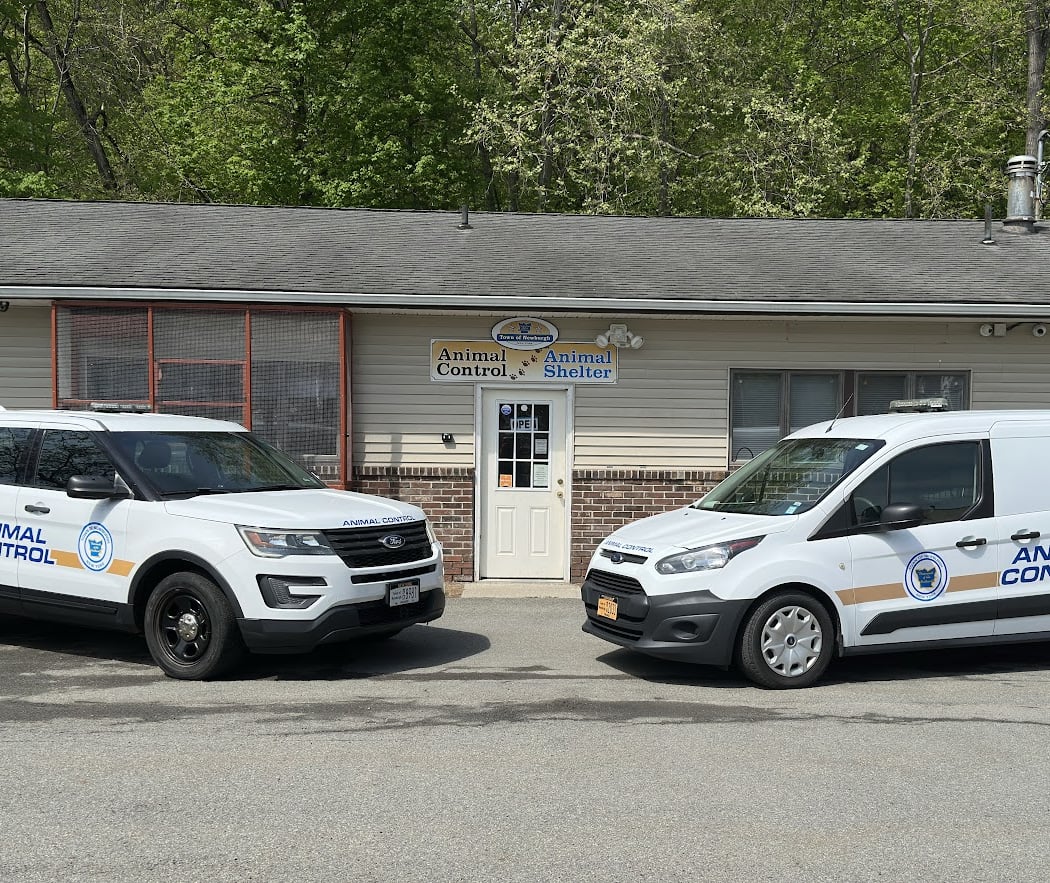 Town of Newburgh Animal Shelter 40th Anniversary Celebration 2