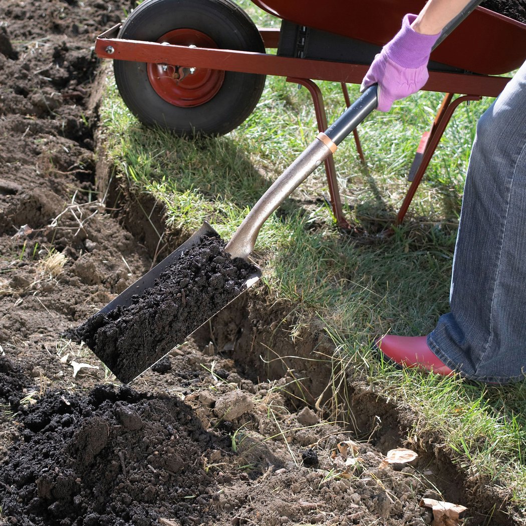 Summer Gardening Class 3