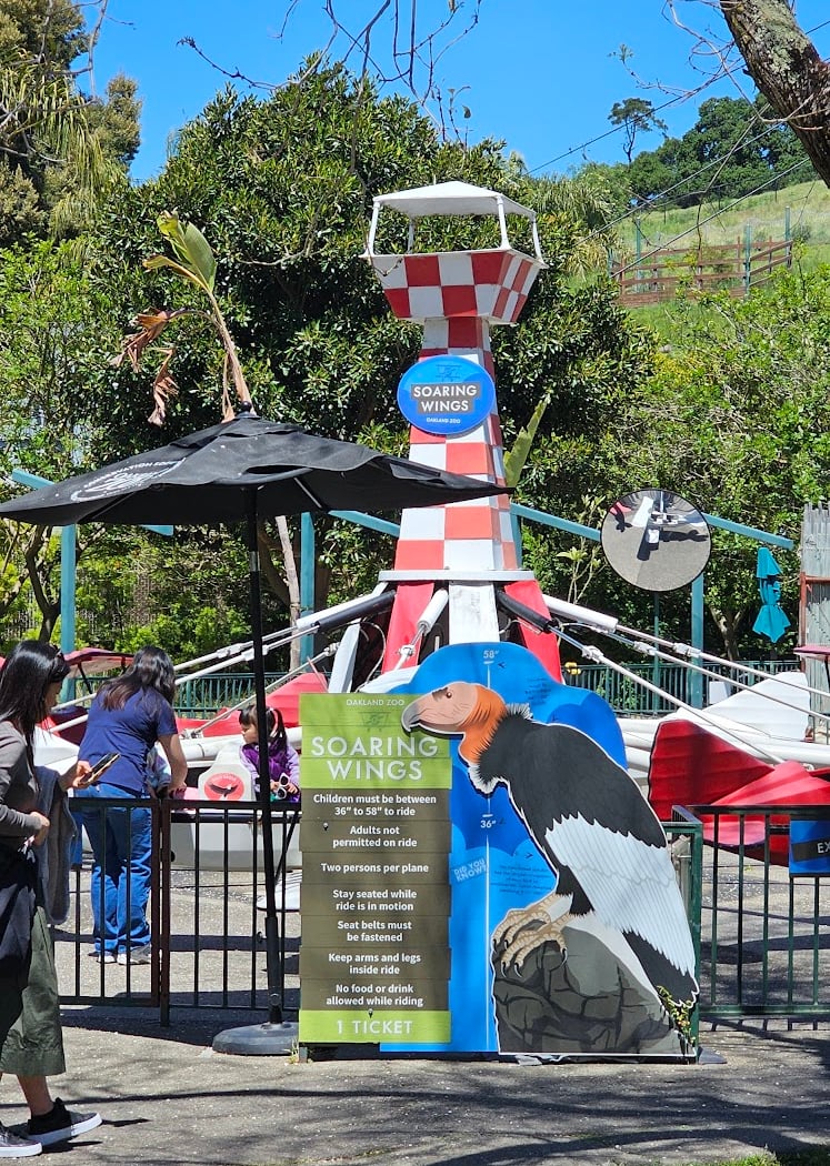 Oakland Zoo Rides 4
