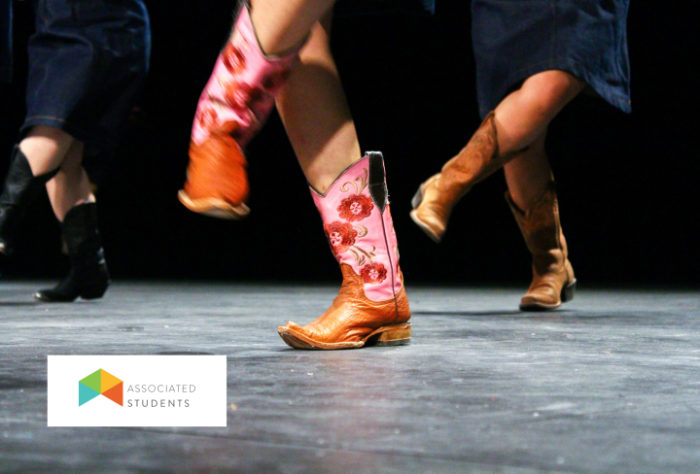 Boots in the Courtyard - Line Dancing 1