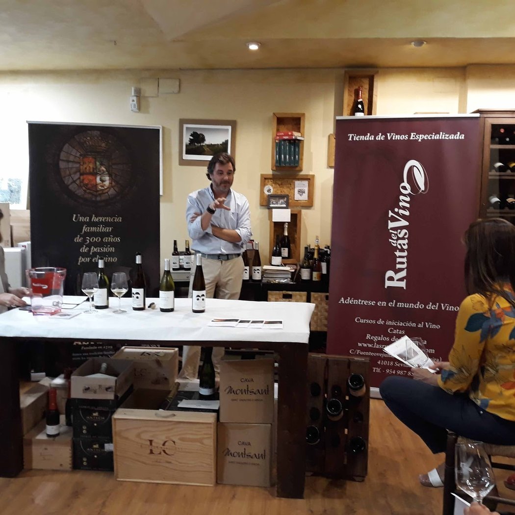 Rutas del Vino 4