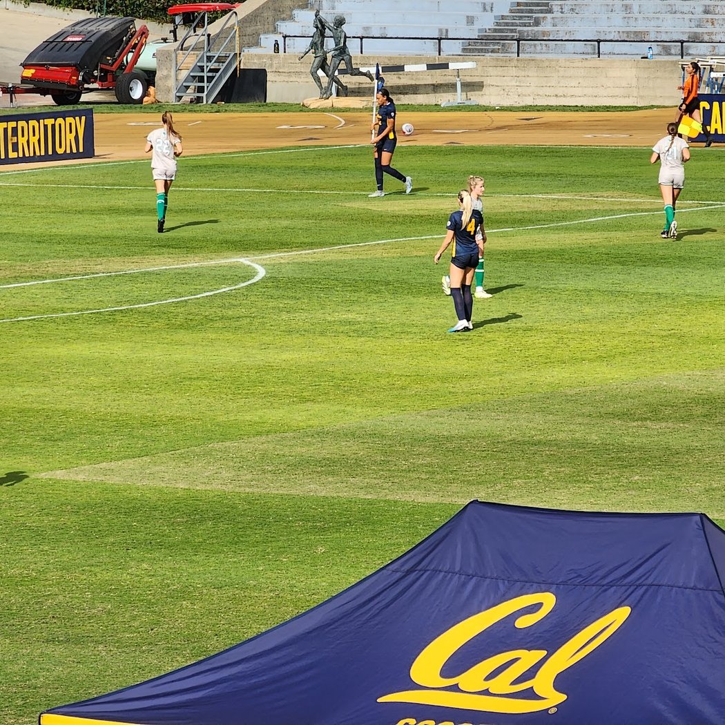 Go Girls, Go Bears, Go Play 3