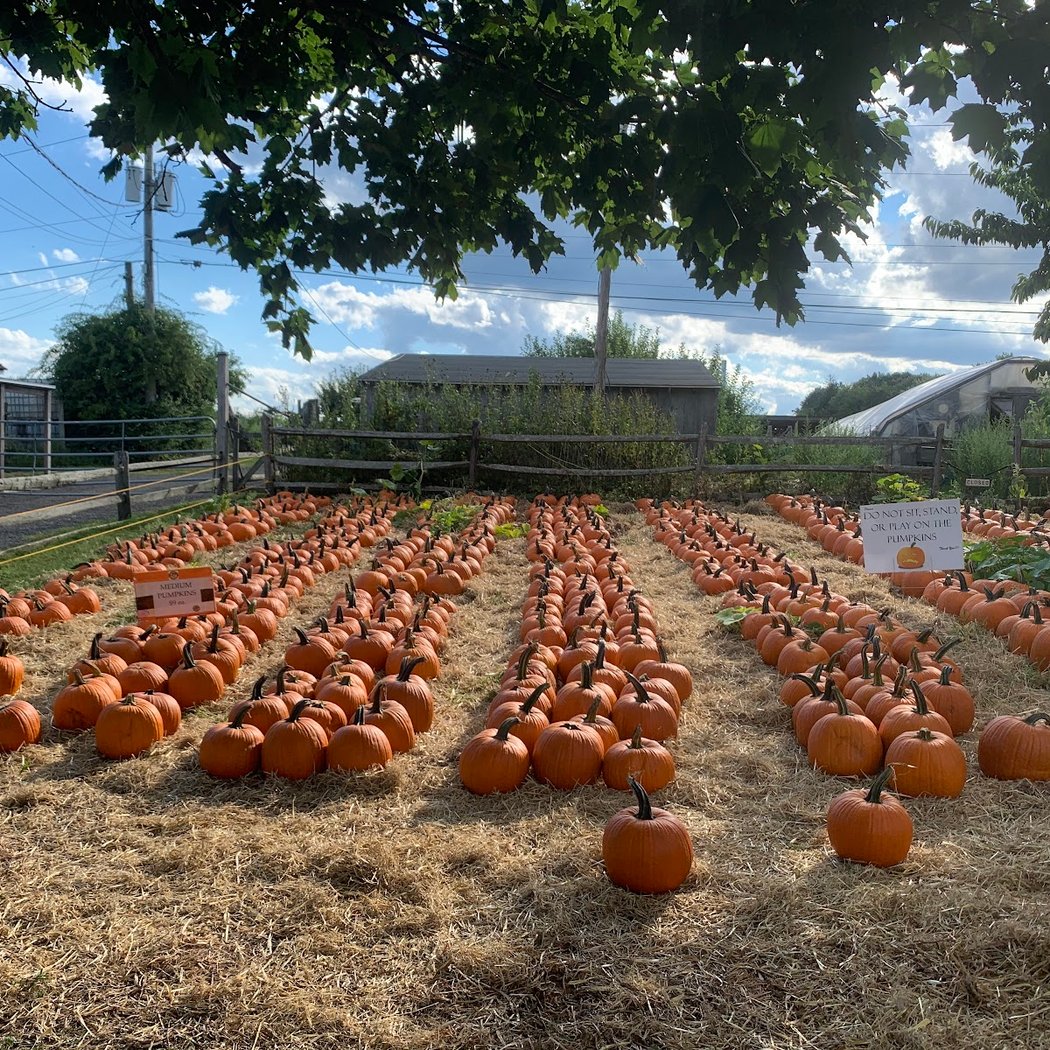 Russell Orchards 2