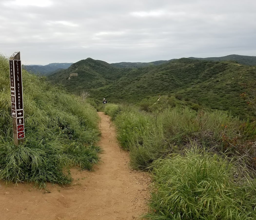 Trail Stewardship – Old Emerald 2
