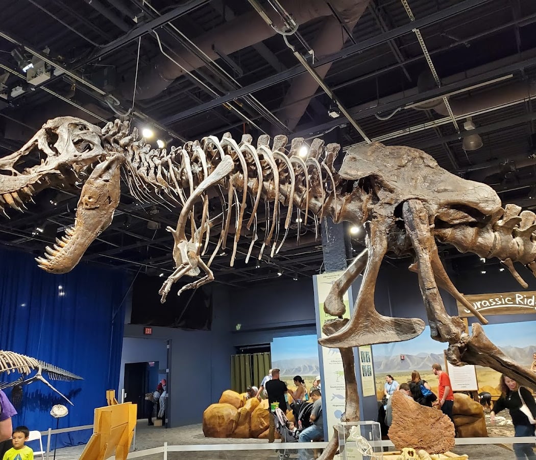 Orlando Science Center 2