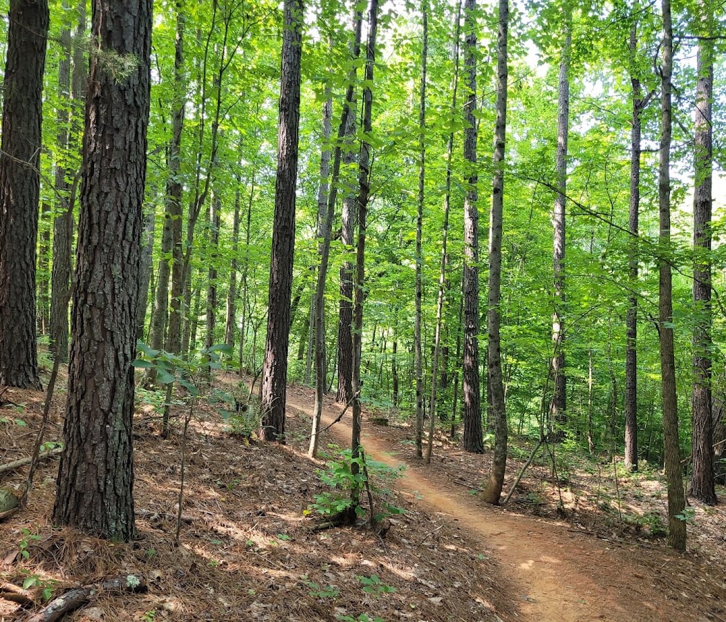 Mountain Creek Park 3
