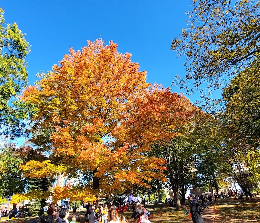 Pumpkin Point 2026 4