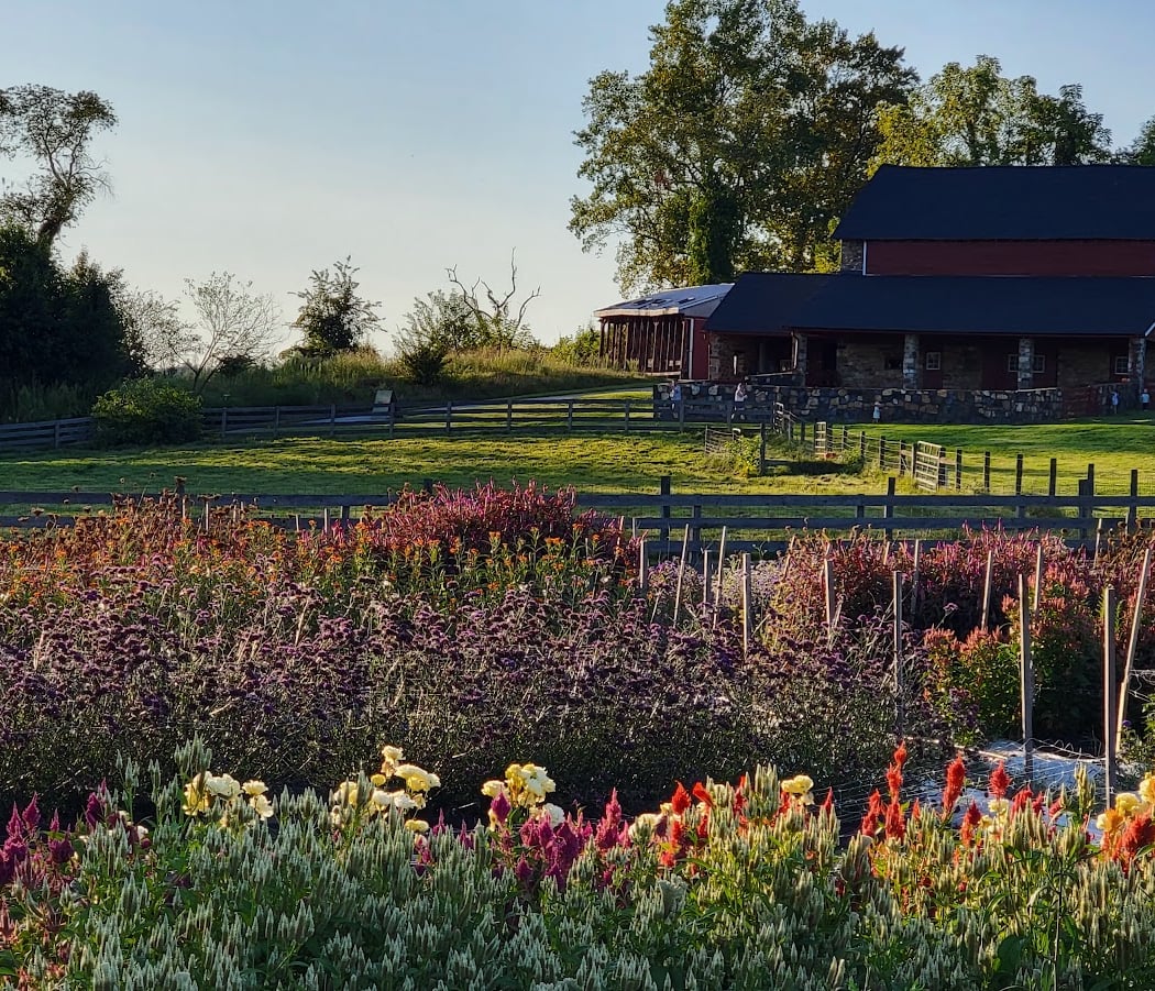 Coverdale Farm Preserve of Delaware Nature Society 1