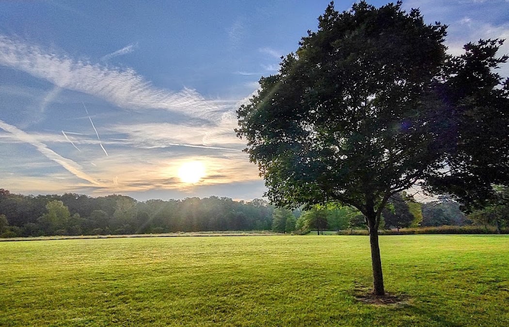 Blue Heron Park 2