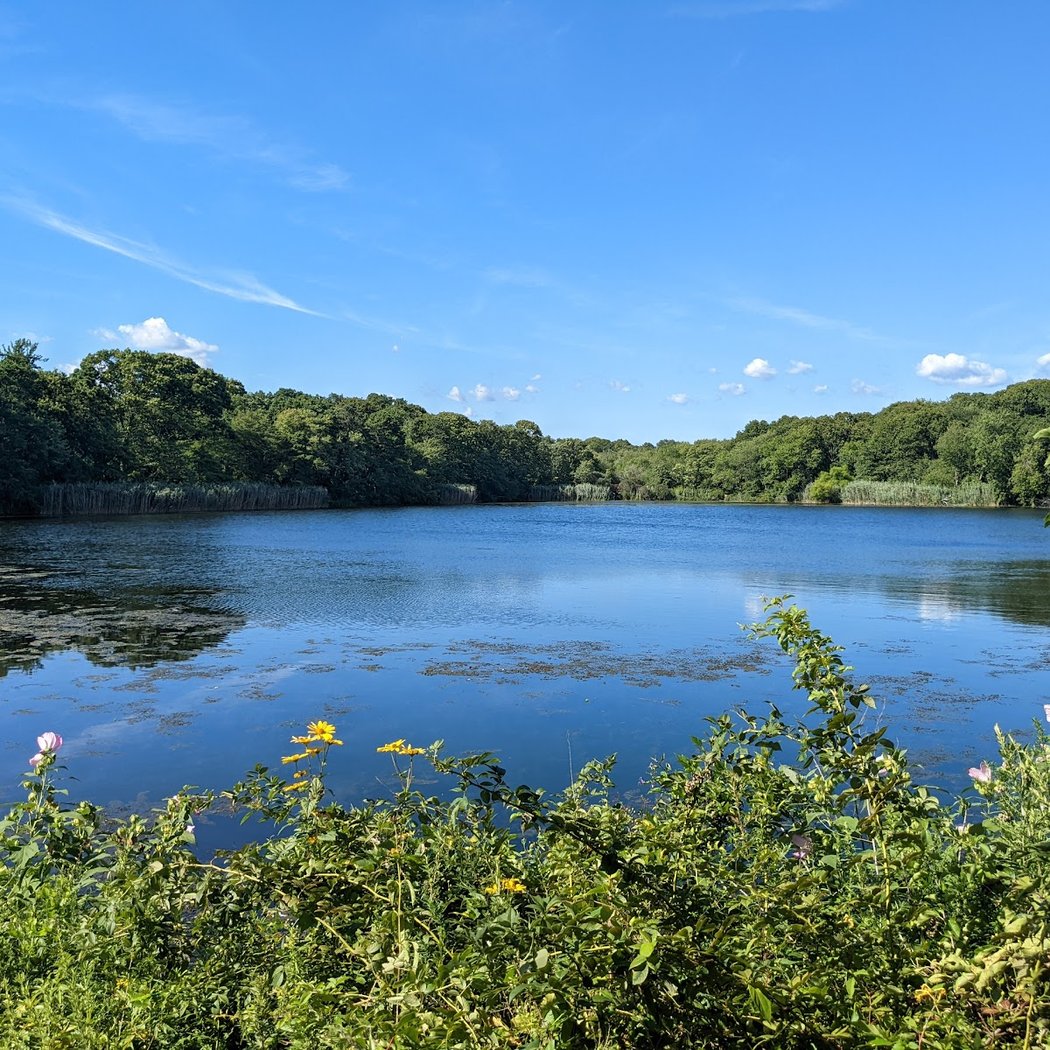 Bethpage Bikeway 1