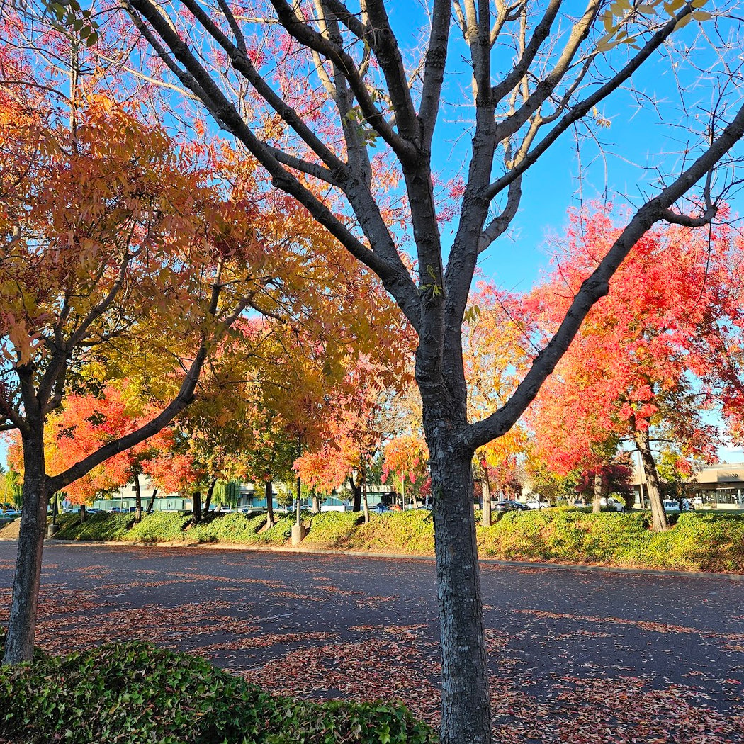 Northwest Community Park 3