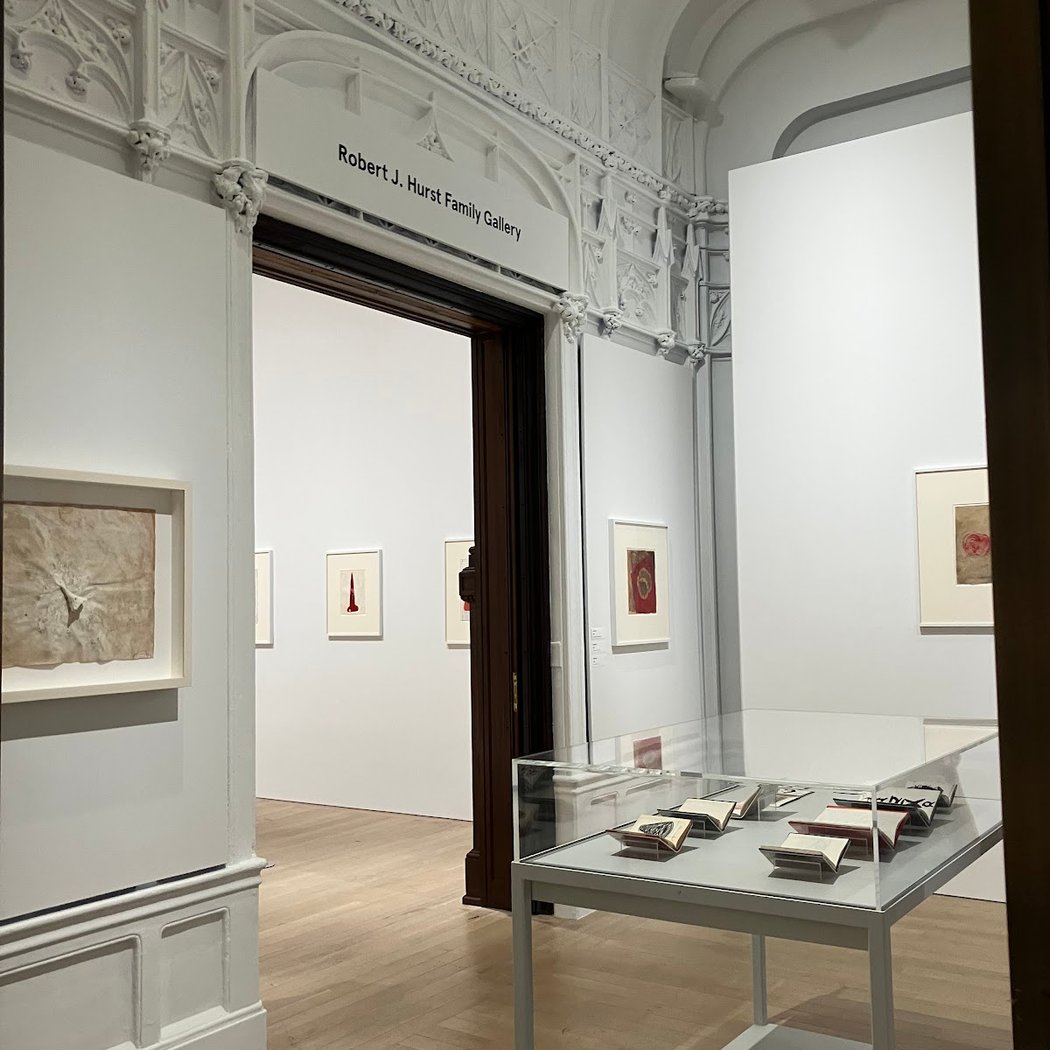 Anish Kapoor Exhibition 1