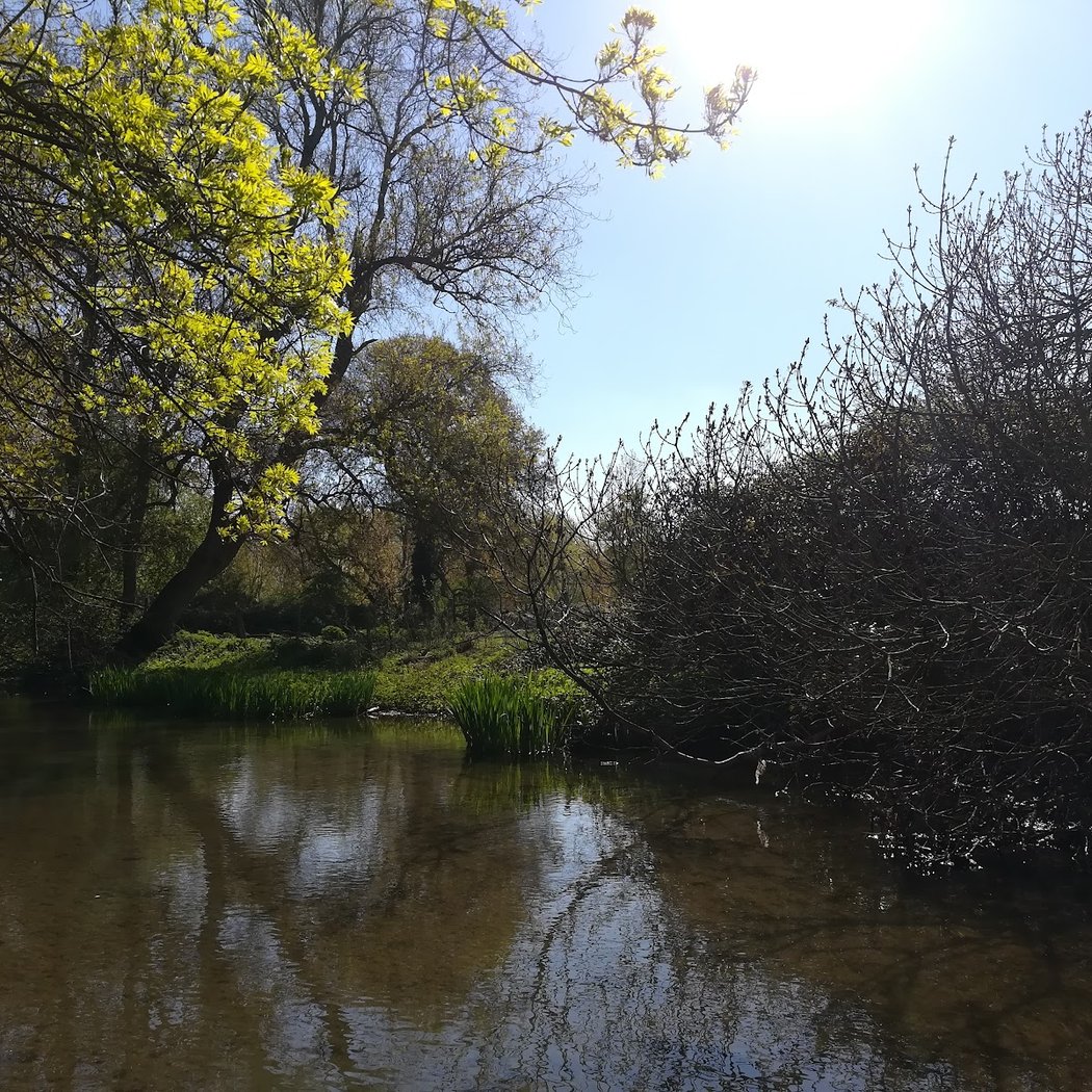 Parc de la Gloriette 1