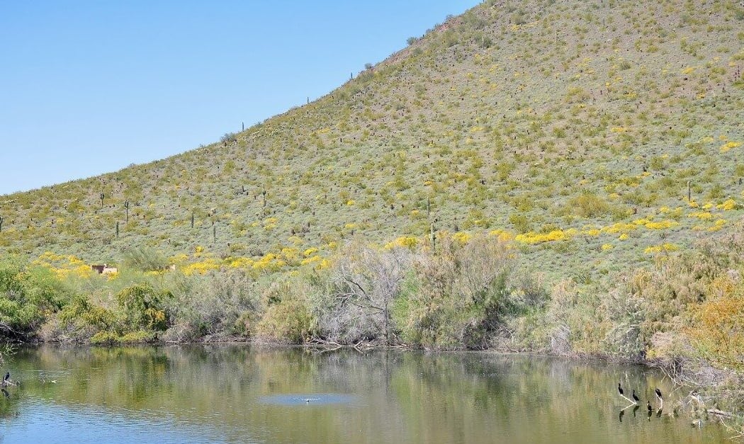 Thunderbird Conservation Park 3