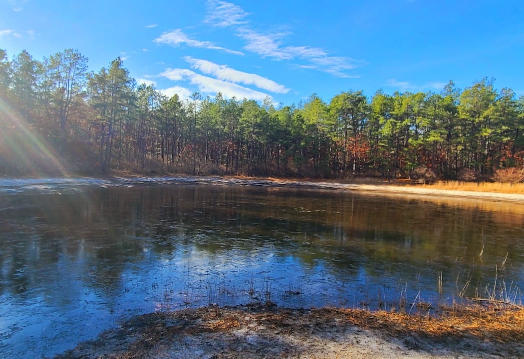 Brookhaven State Park Trail 1