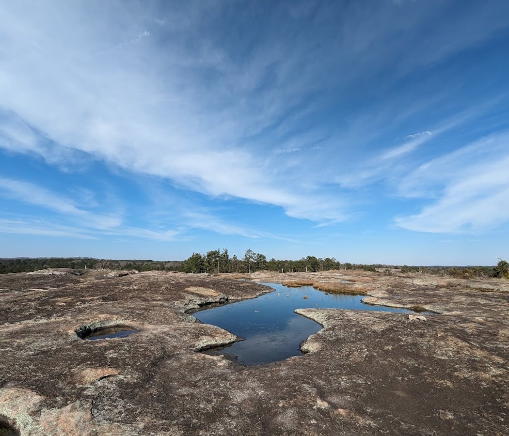 Davidson-Arabia Mountain Nature Preserve 1