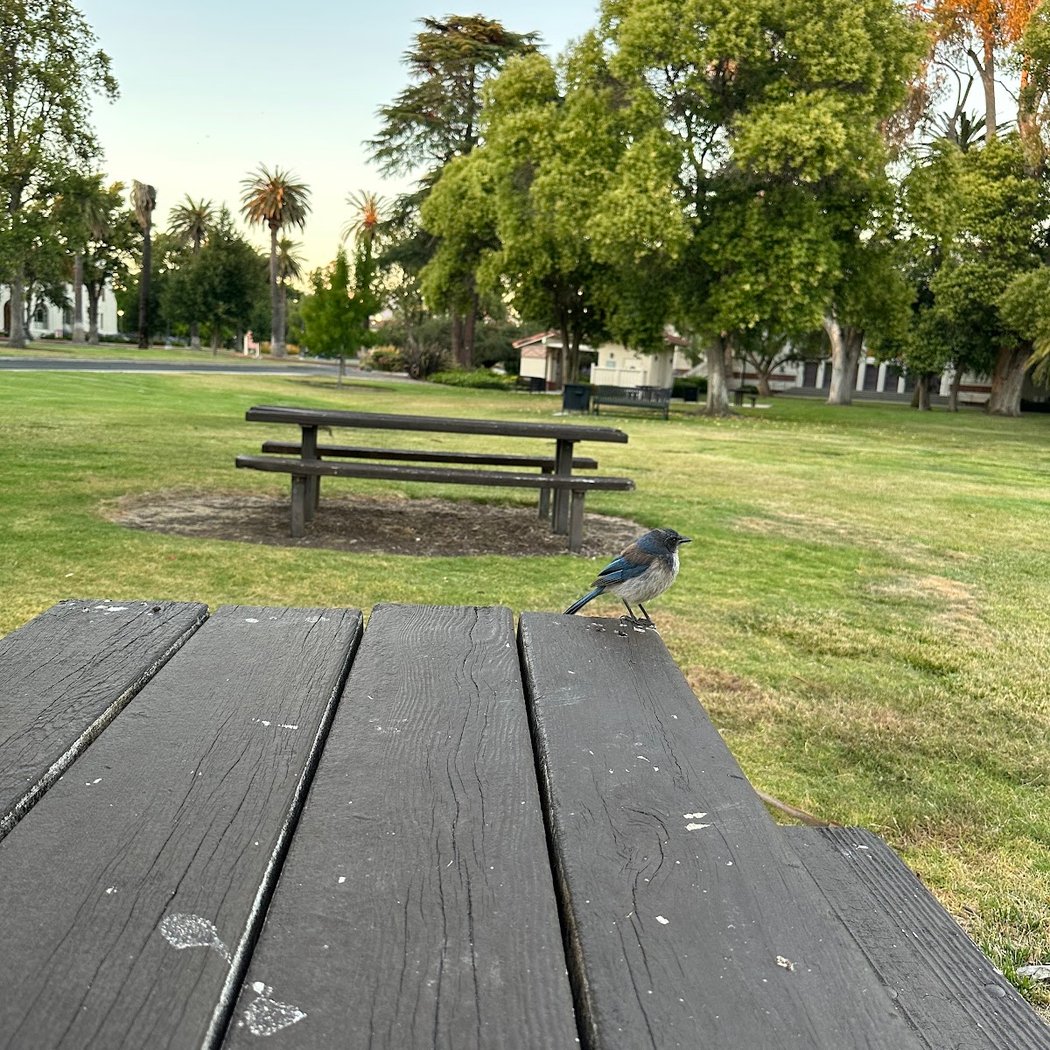 Agnew Park 3
