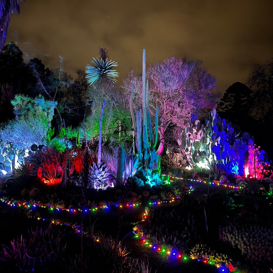 Garden of D’Lights 1
