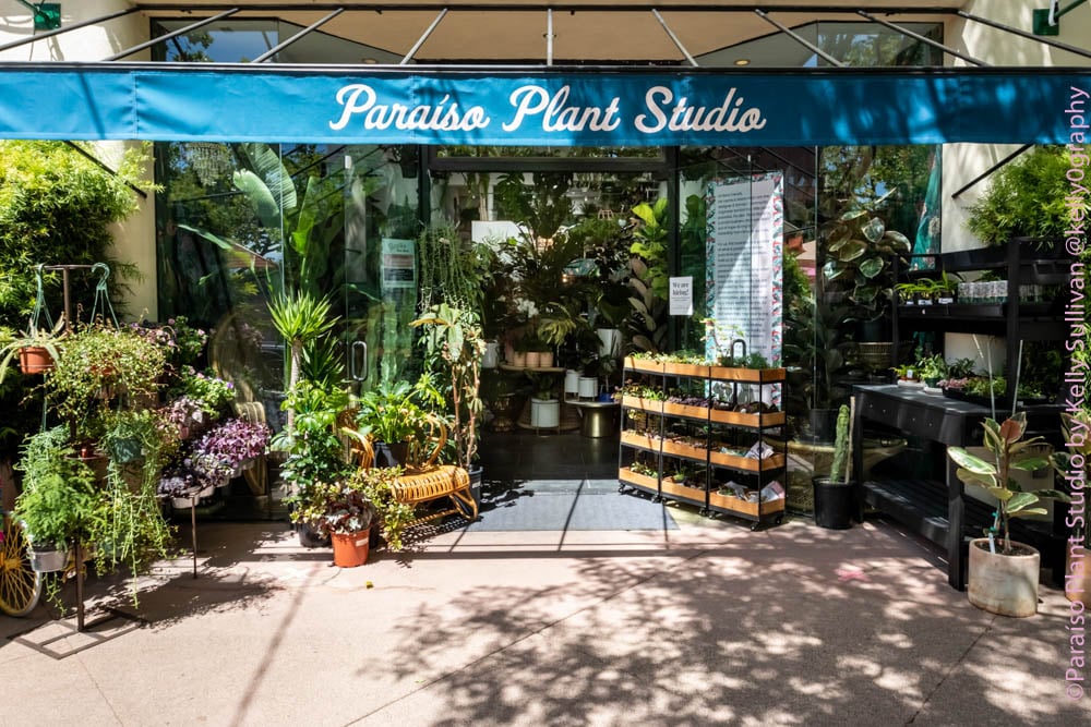 Paraíso Plant Studio 2