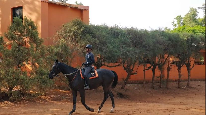 Embassy International Riding School 2