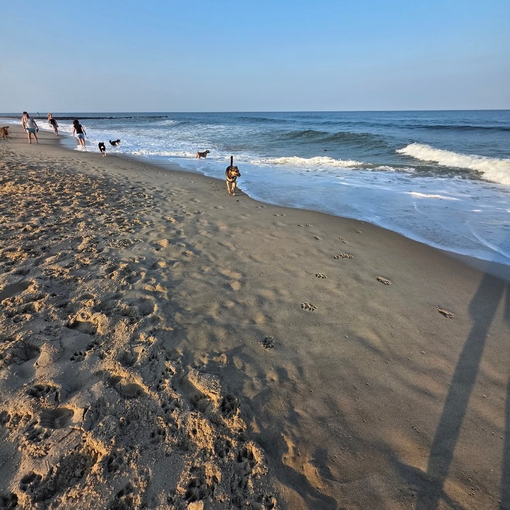 Asbury Park Dog Beach 3
