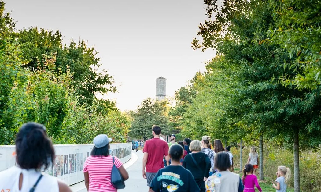 Sunset Tree Tour