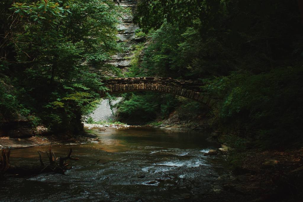 Stony Brook State Park 3