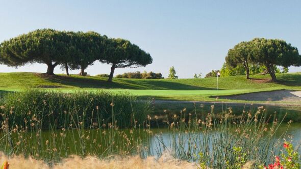 Shoreline Golf Links 1