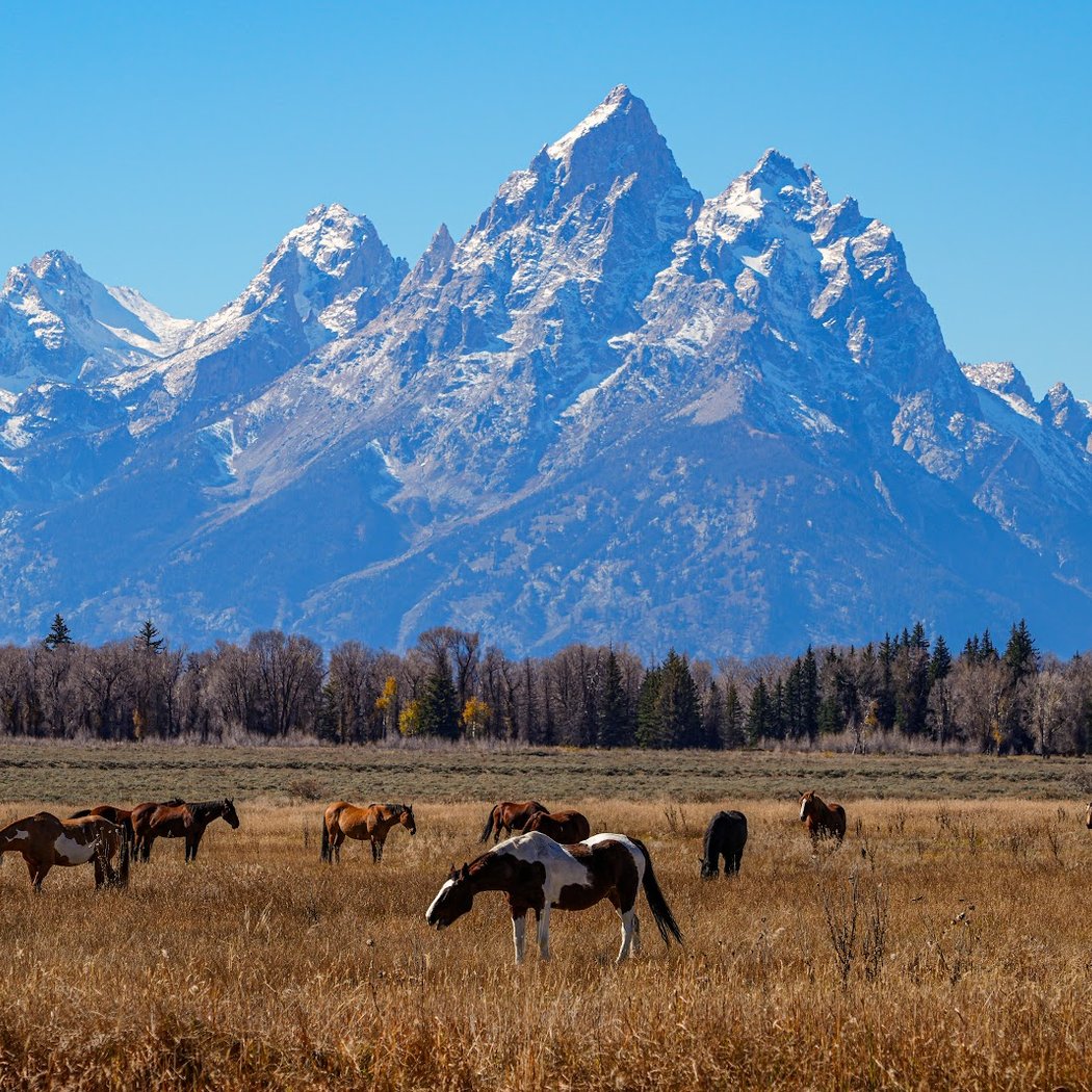Grand Teton National Park 3