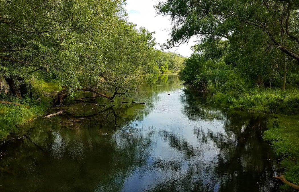 Wellness Walks 3