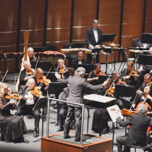 Austin Symphony Orchestra: Elf In Concert 5