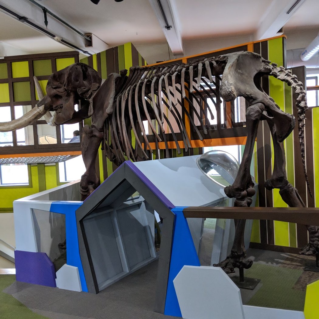Darwin Day Fun 1
