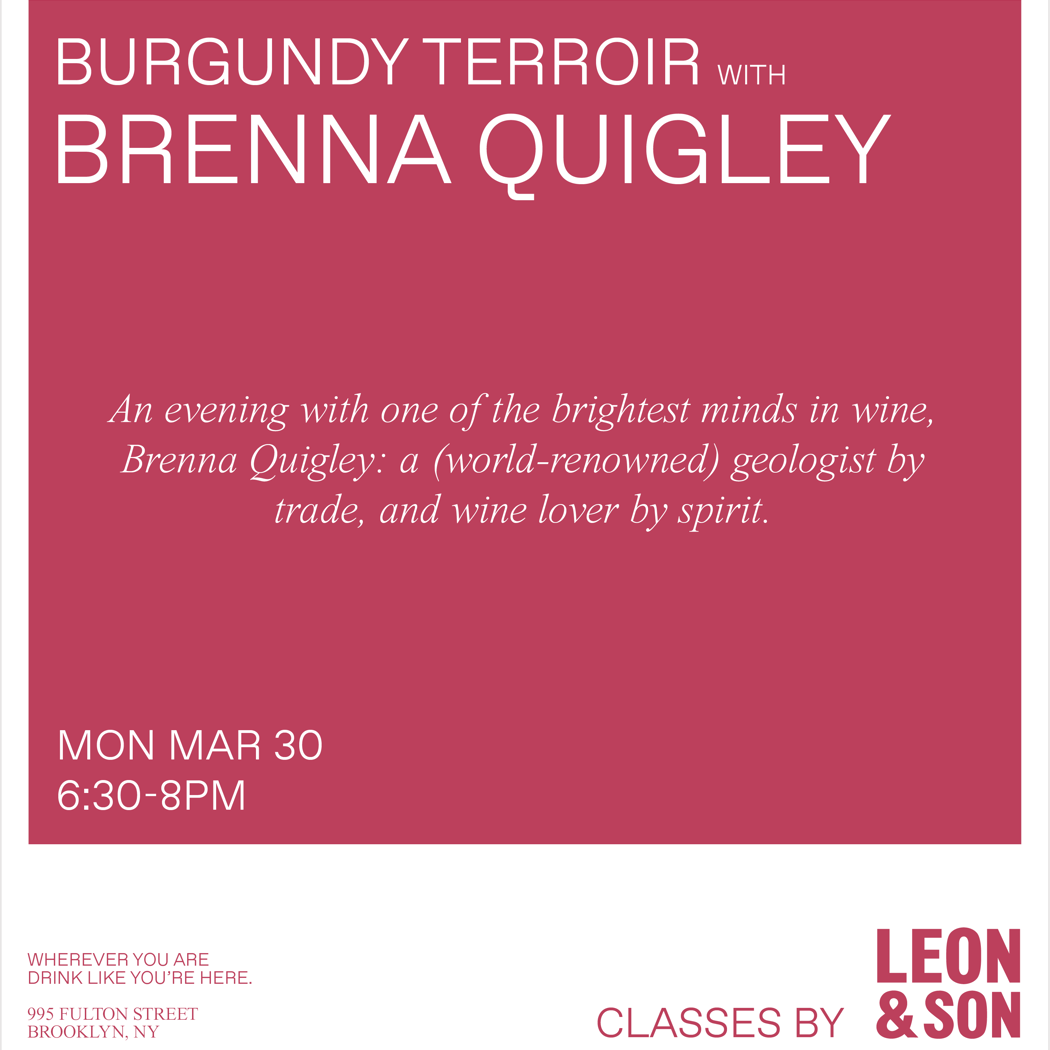 Burgundy Terroir with Brenna Quigley 1
