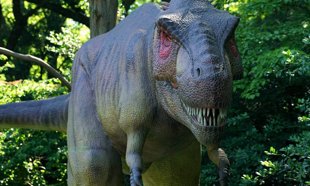 Dinos! 1