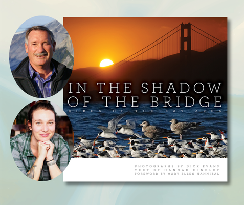 In the Shadow of the Bridge: Birds of the Bay Area 1