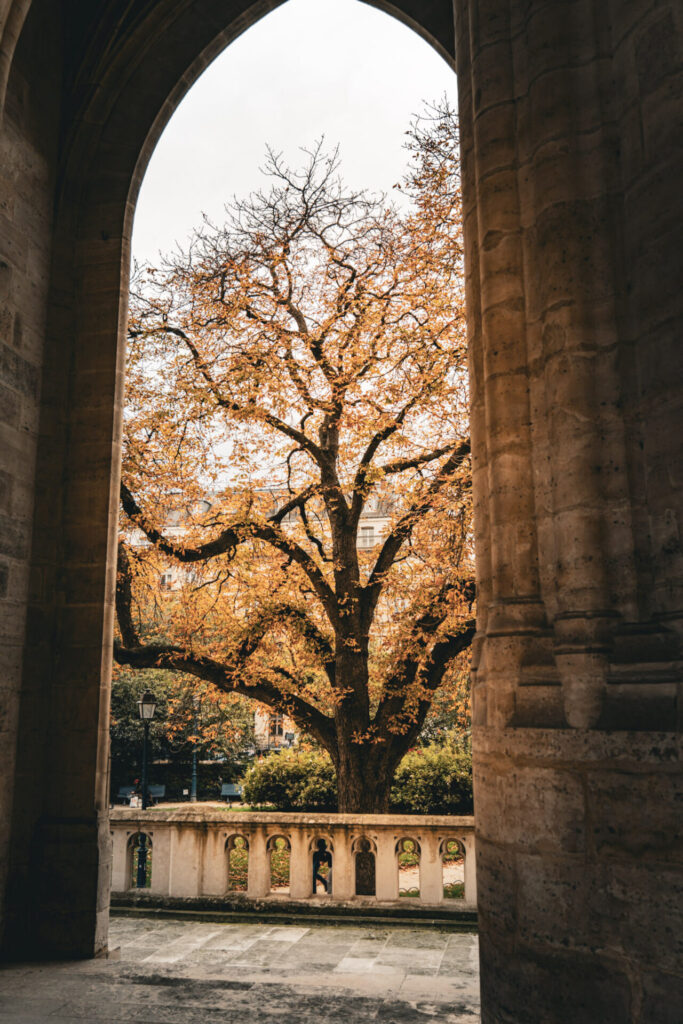 Tour Saint-Jacques 3