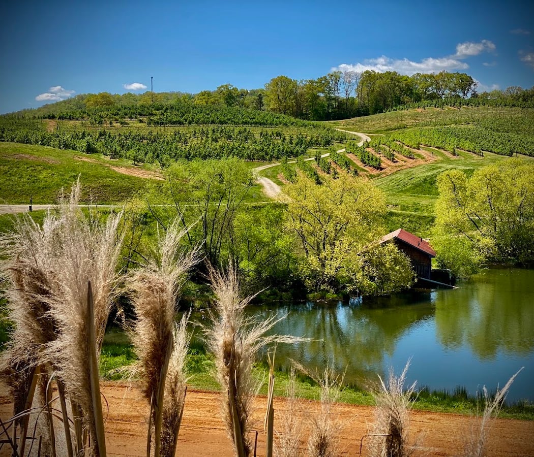 Mercier Orchards 2