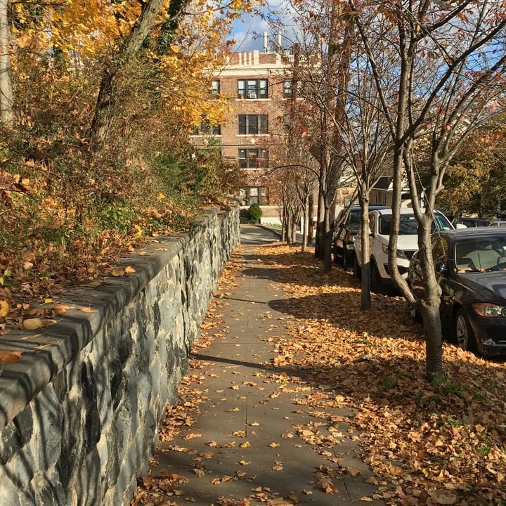 G. Thomas DiDomenico Park 2