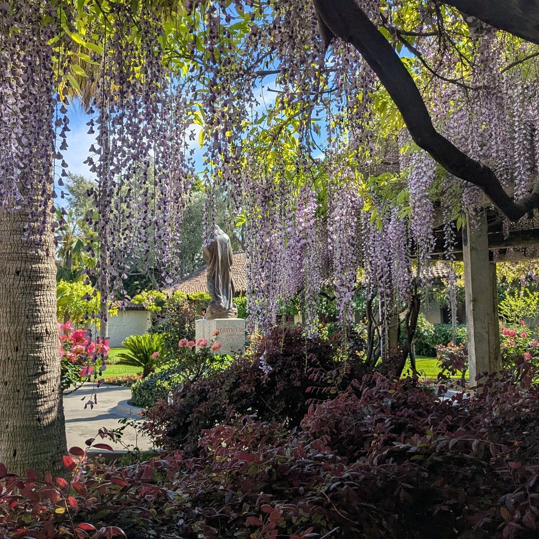 Mission Gardens 1