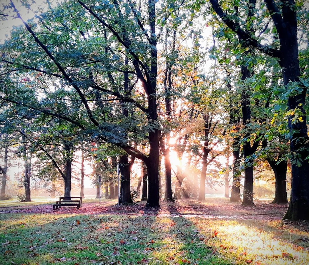 Parc de Parilly 1