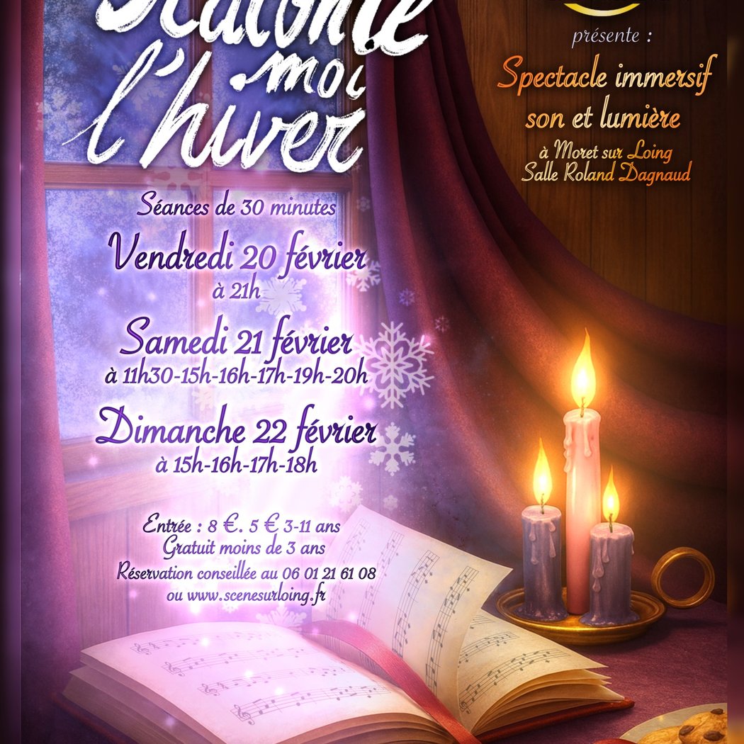 Spectacle immersif son et lumière "Raconte moi l'hiver" 1