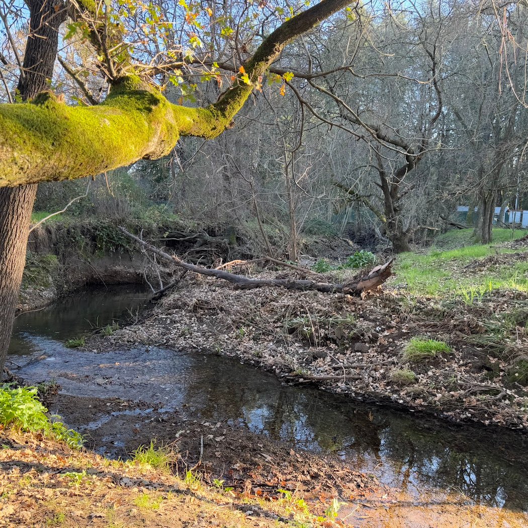 Nathanson Creek Park 3