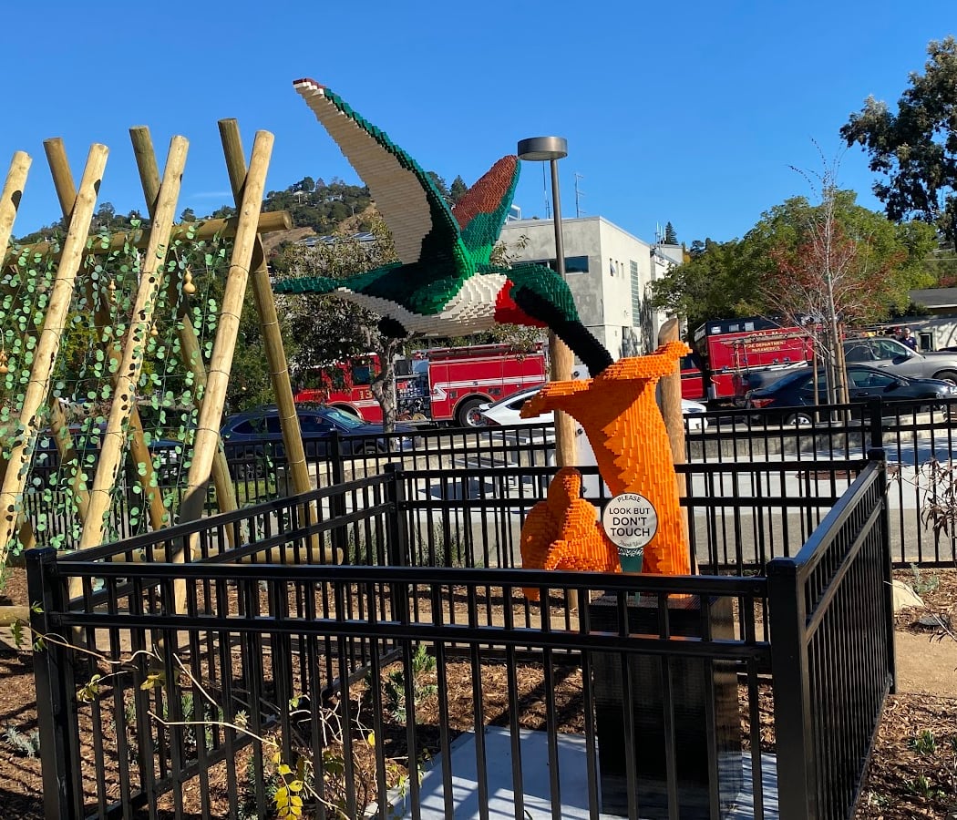 Alex’s Playground and Discovery Gardens 2