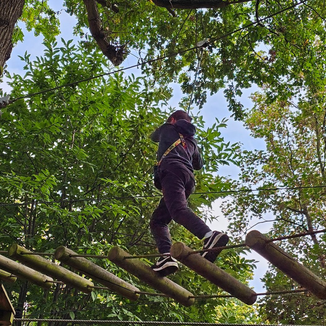 High Ropes at The Oakwood 1