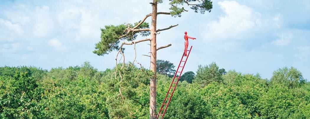 La Forêt monumentale 1
