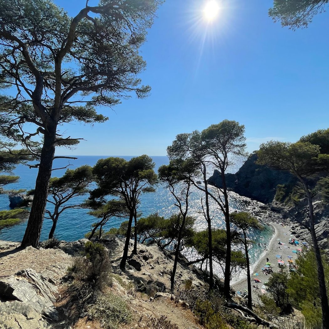 Plage du Mont Salva 2