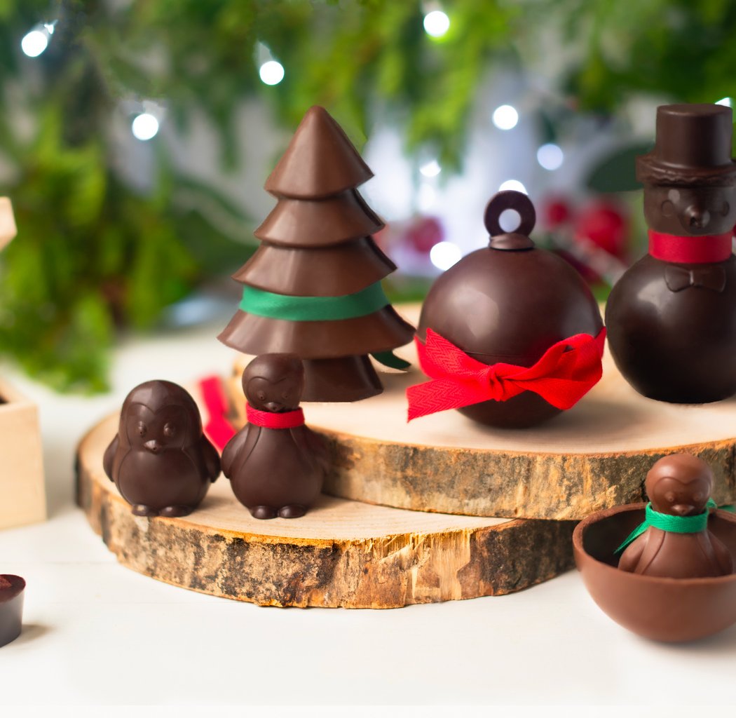 Mon jardin chocolaté - Chocolaterie artisanale certifiée bio à Paris 3